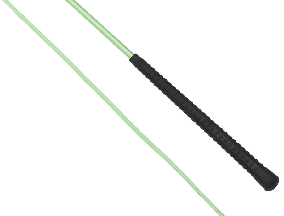 Lunge Whip Neon