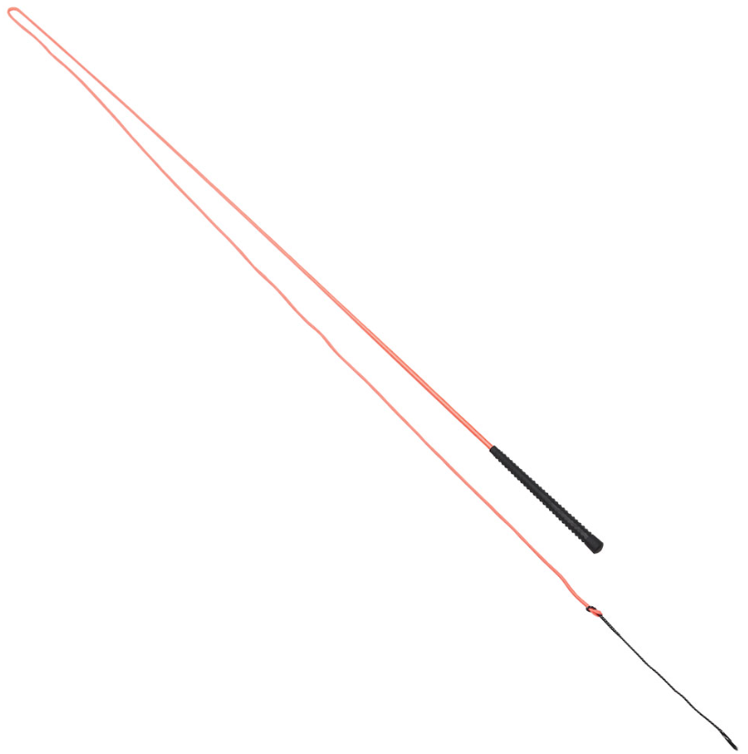 Lunge Whip Neon