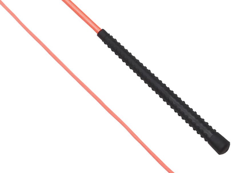 Lunge Whip Neon