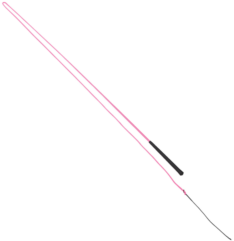 Lunge Whip Neon