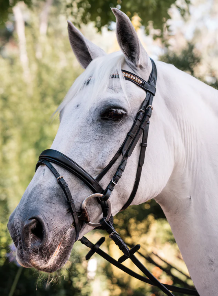 Grainge Dressage snaffle with crystal