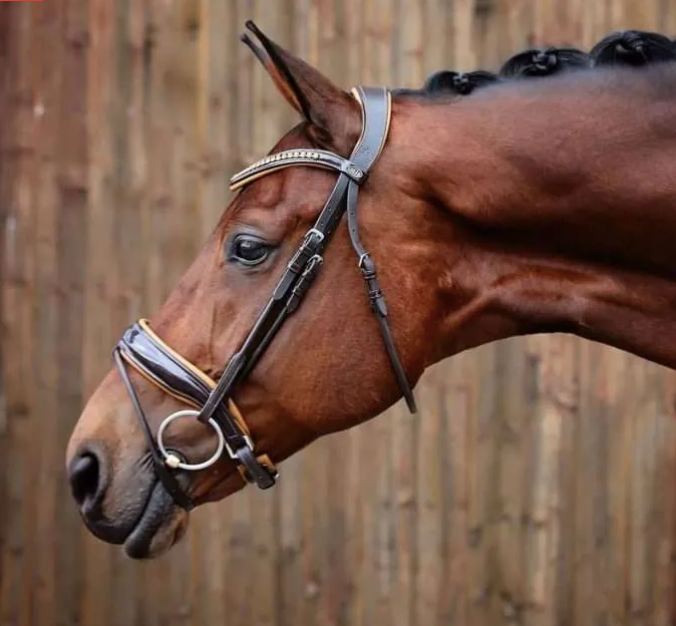 Belle Equestrian Noble Snaffle Bridle