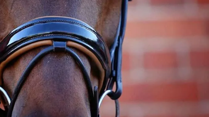 Belle Equestrian Noble Snaffle Bridle