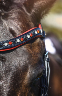 Belle Equestrian Duke Snaffle Bridle