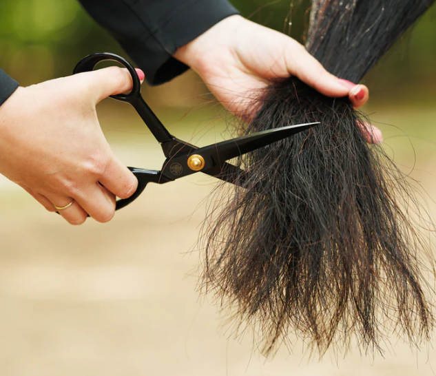 Hairy Pony - Horse Tail Trimming Scissors