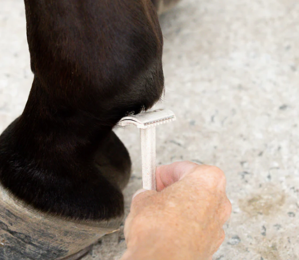 Hairy Pony - Double Edge Safety Razors - 3 pack