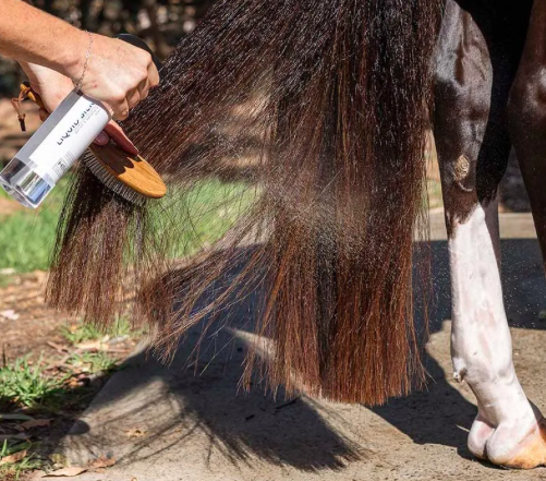 NTR - Caress Mane n Tail Brush