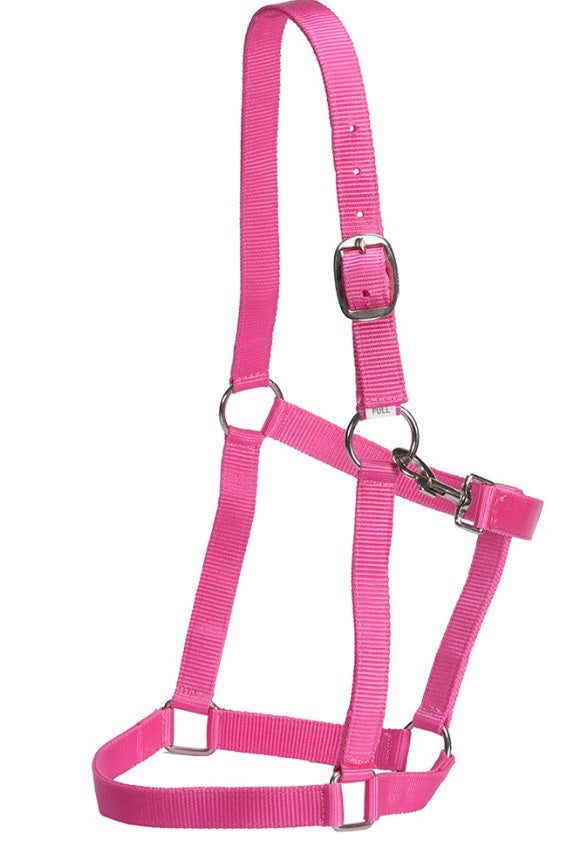 Economy Stable Halter