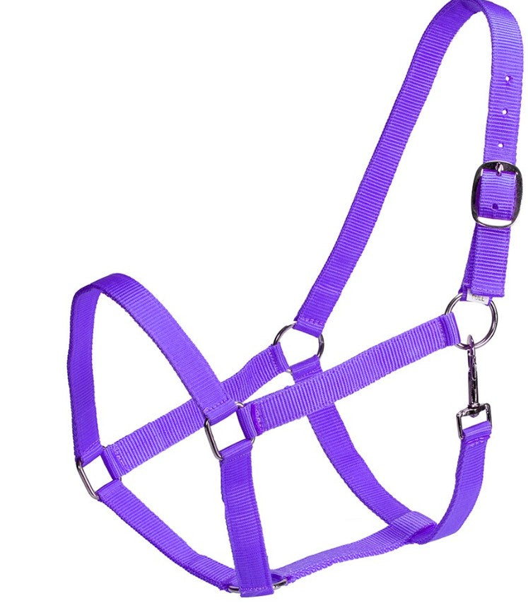 Economy Stable Halter