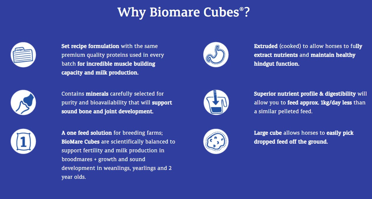 Prydes BioMare Cubes 20kg