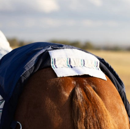 EW Dual Season Combo Wool