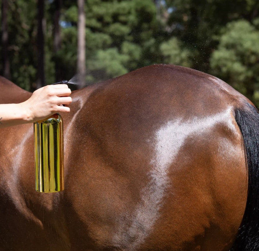 Pre-Mixed Essential Oil Coat Conditioner