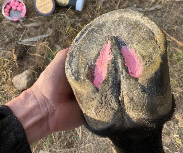 Beeswax Pink Balls - Frog & Hoof Crevice Wax