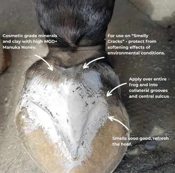 Hoof Pack for a "Smelly Crack"