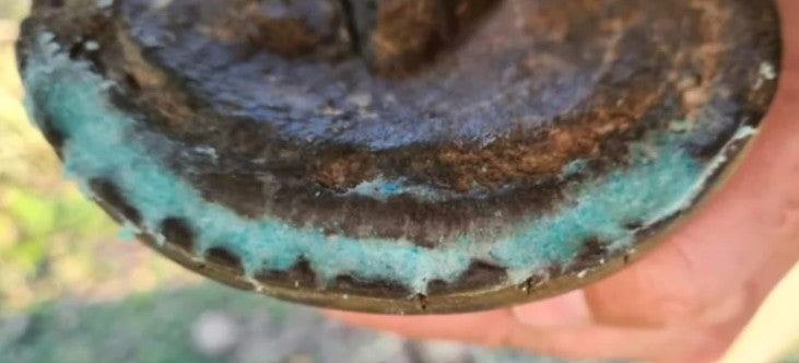 Beeswax Blue Balls - Hoof Wall Crevice Wax