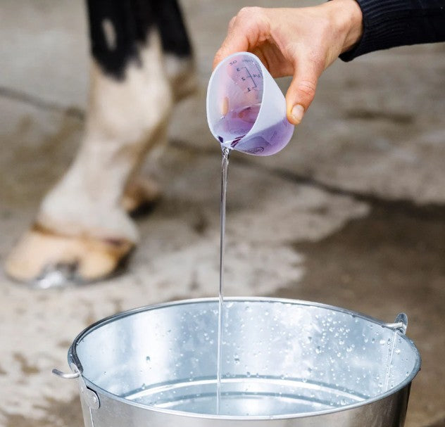 Hairy Pony - Essential Oil Coat Conditioner