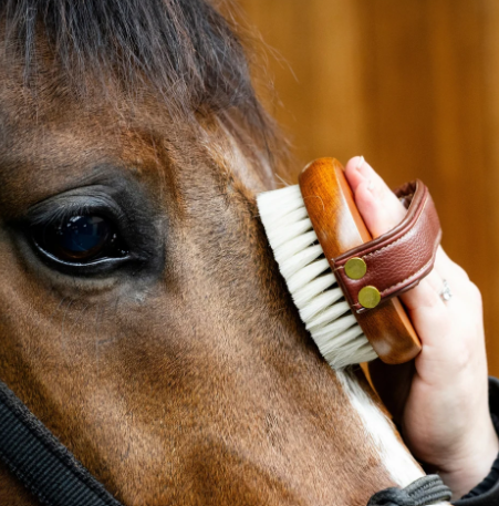 Hairy Pony - Face Brush