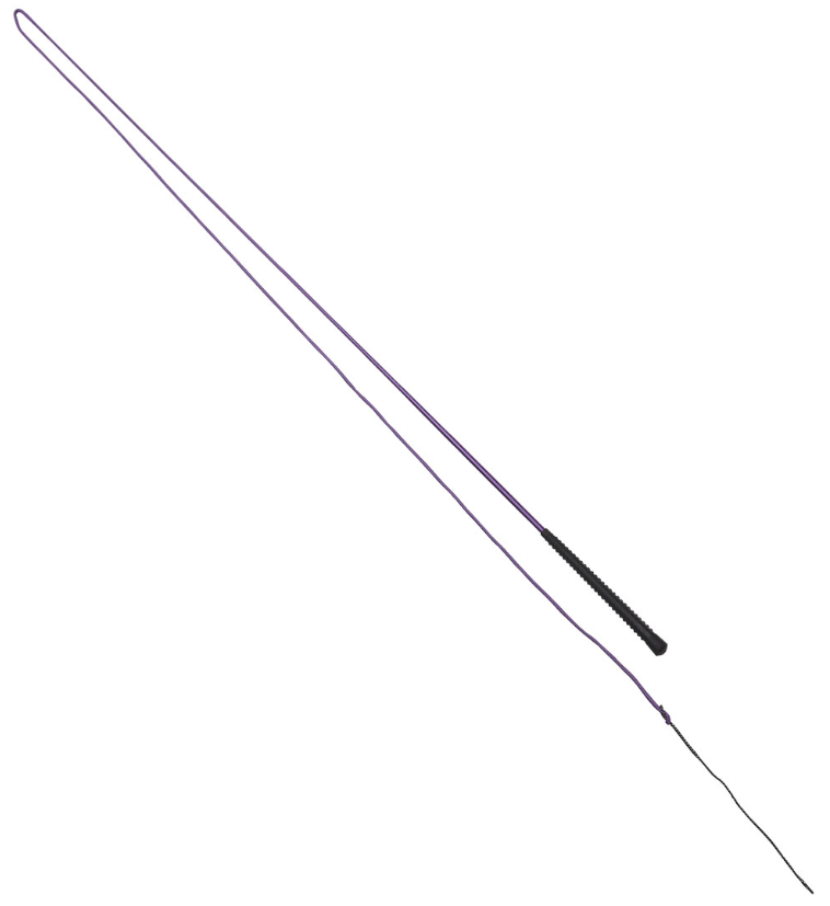 Lunge Whip Neon