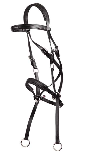 BRIDLE BITLESS