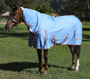 ZILCO COMBO GUARDIAN