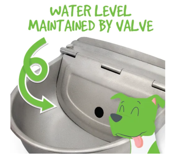 Stainless Automatic Drinking Bowl