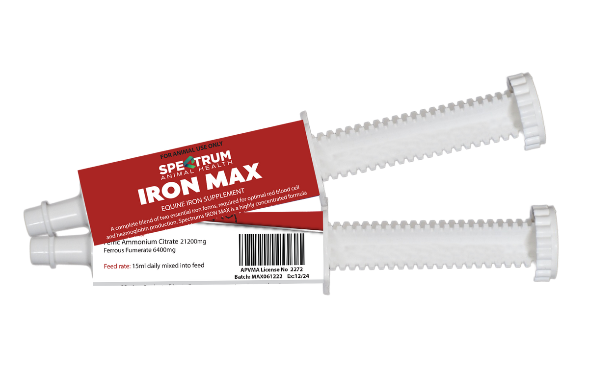 Iron Max Paste 30ml