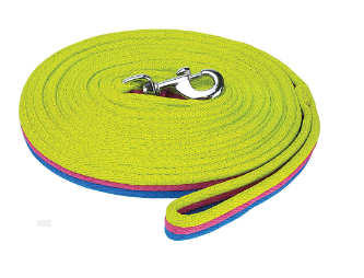 LUNGE LEAD SOFT