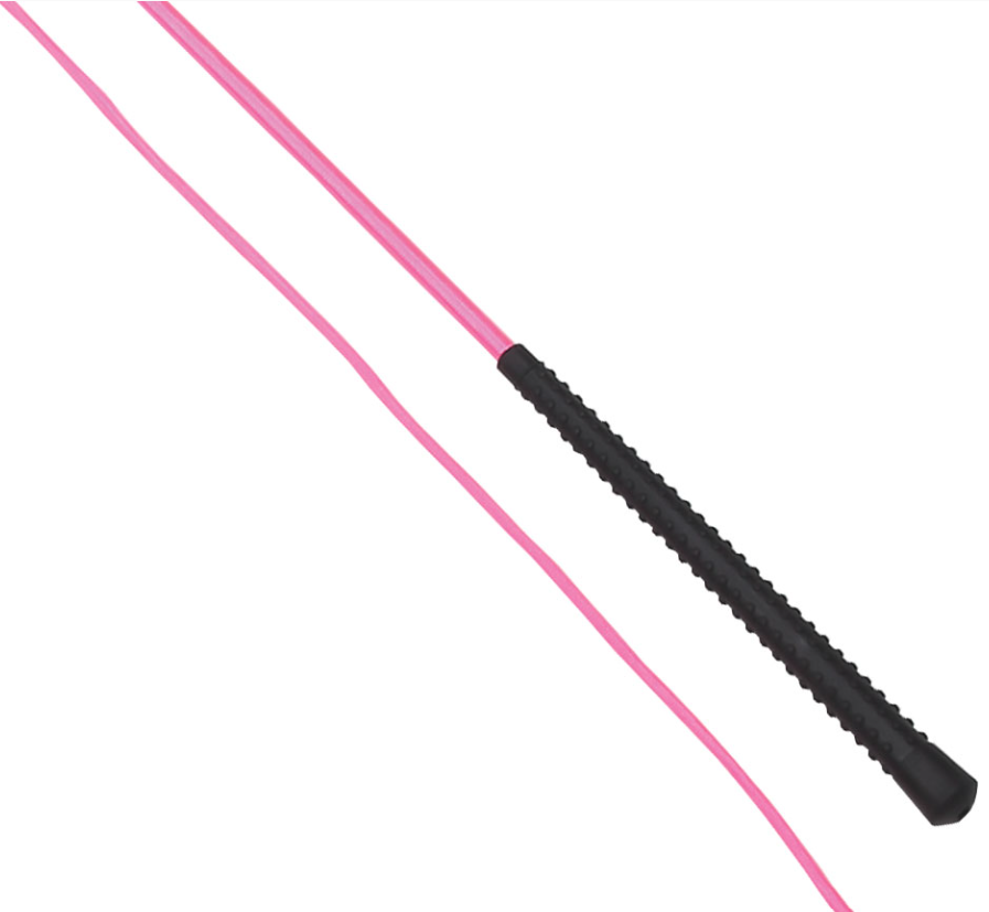 Lunge Whip Neon