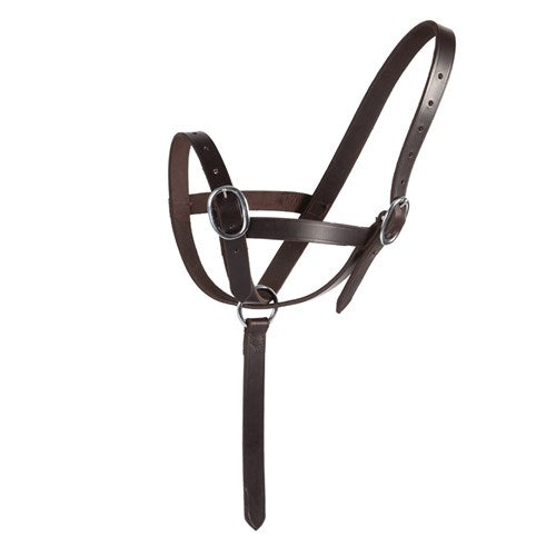 Foal Catching Halter