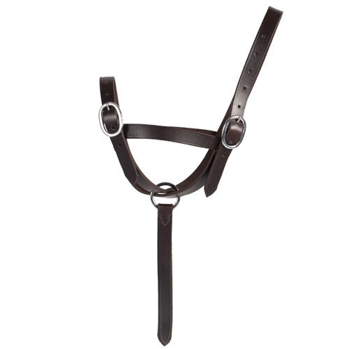 Foal Catching Halter