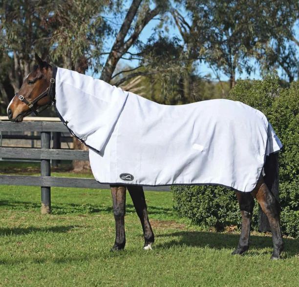 Eurohunter Flag Combo