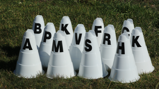 Large Dressage Cones