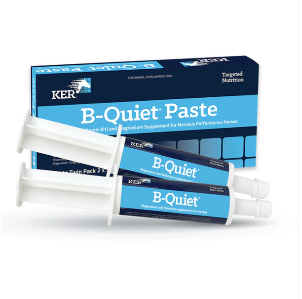 KER B-Quiet Paste Twin Pack