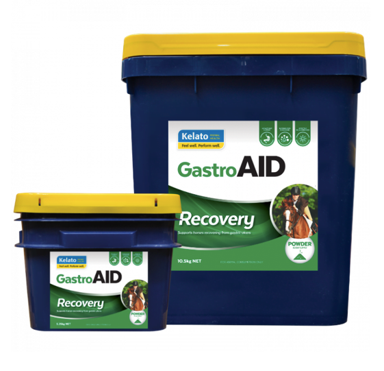 Kelato GastroAID Recovery