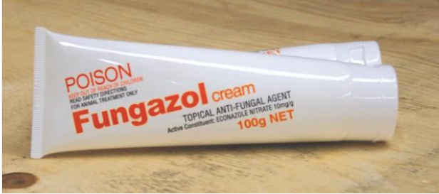 Ranvet Fungazol Cream