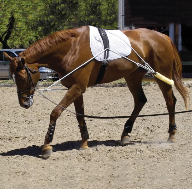 Pessoa Training System