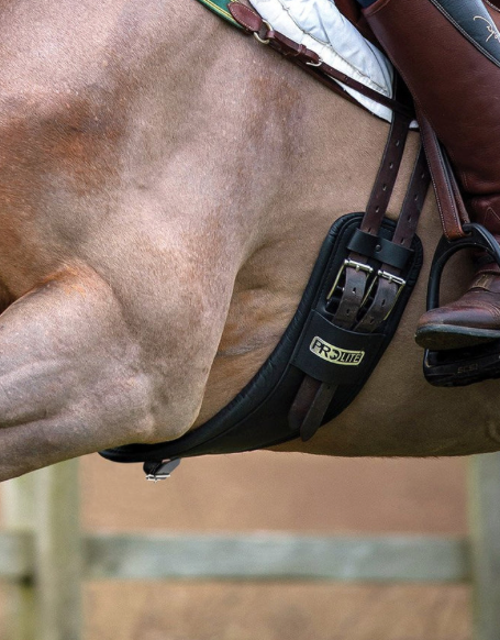 ProLite Short Girth Brown