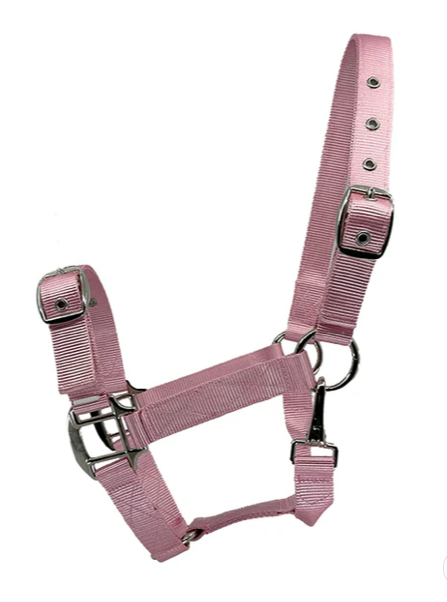 Eurohunter Essential Halter