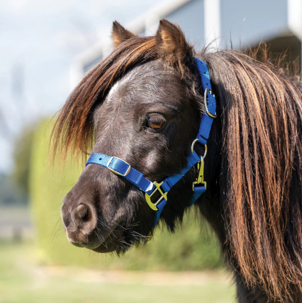 Eurohunter Mini Halter