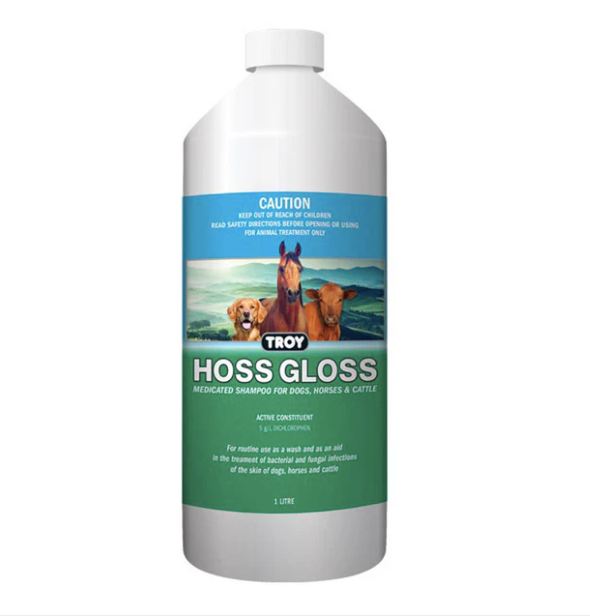 Troy Hoss Gloss