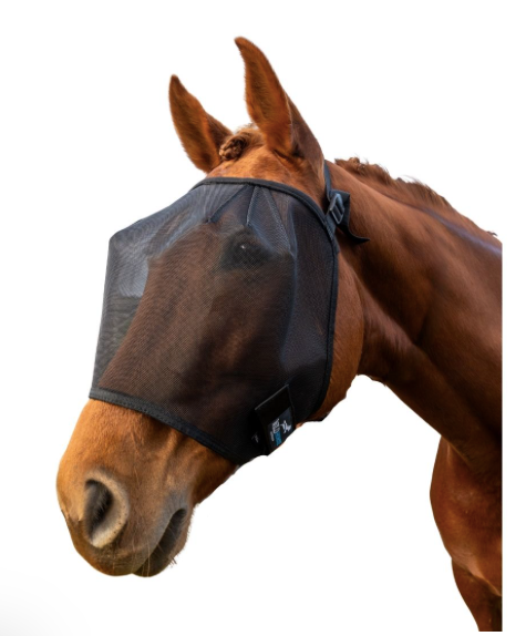 Wild Horse Fly Veil Three Dart