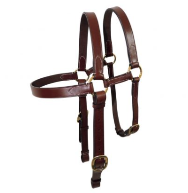 TANAMI EXTENDED BRIDLE HEAD FS