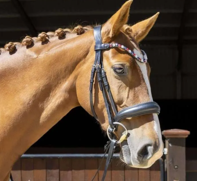 Belle Equestrian Naked Non Patent Snaffle Bridle