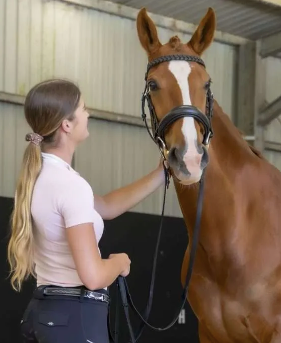 Belle Equestrian Naked Non Patent Snaffle Bridle