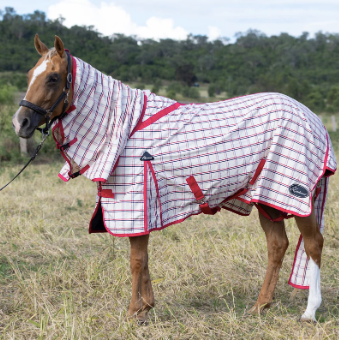 Earlwood Ripstop Combo