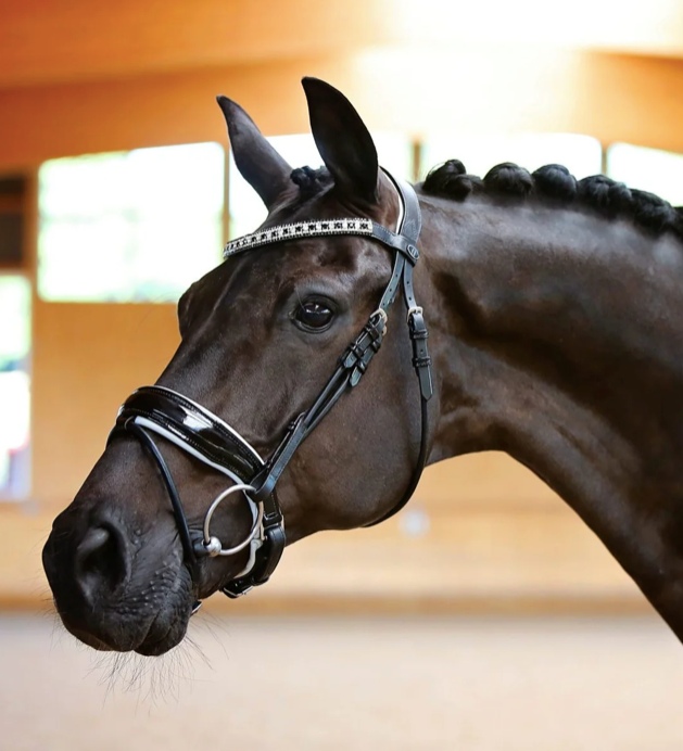 Belle Equestrian Duchesse Snaffle Bridle