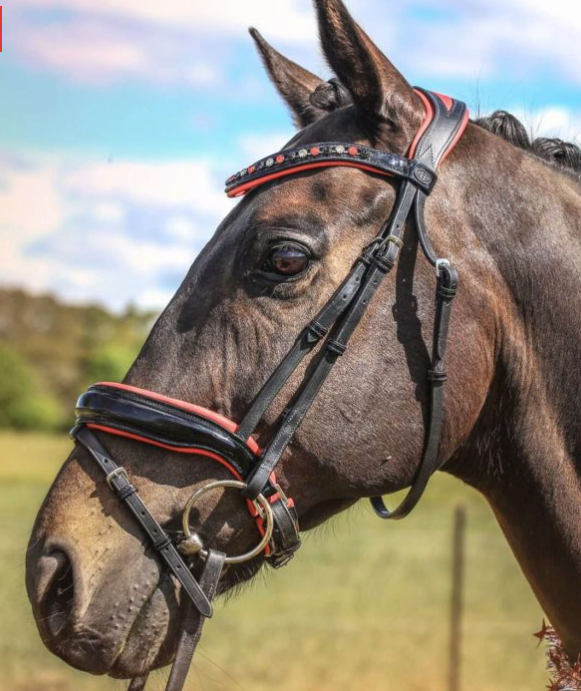 Belle Equestrian Duke Snaffle Bridle