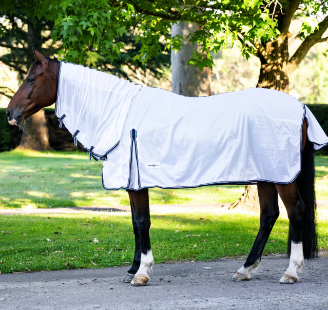 EP Essential Mesh Combo