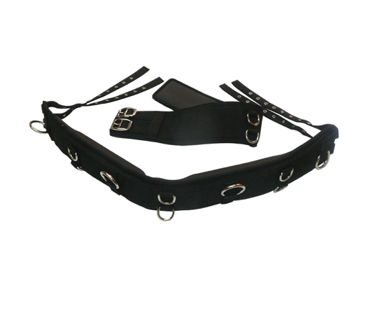 Showcraft - Anti Gall 2 Piece Lunge Roller