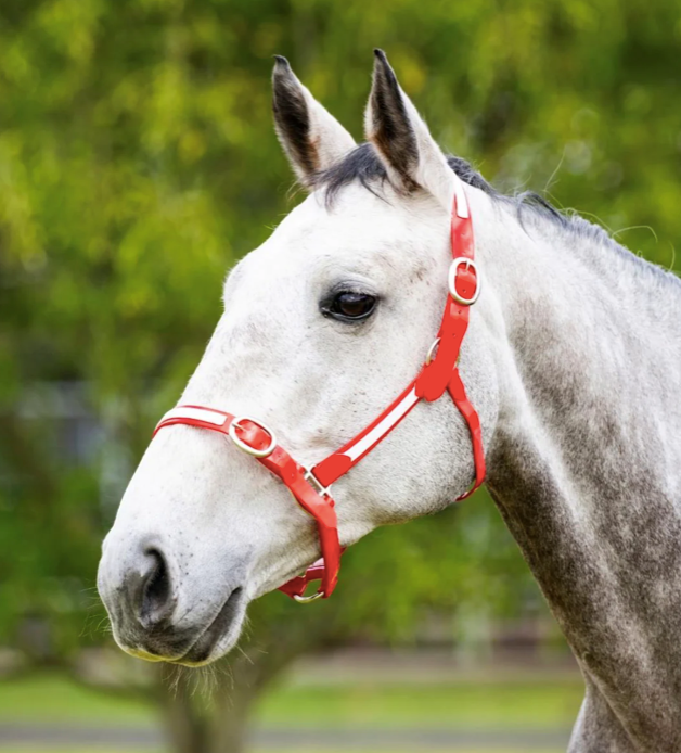 EquestPRO PVC Overlay Halter